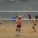 voley