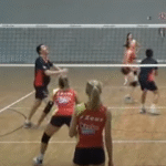 voley